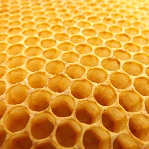 越谷市で蜂駆除業者をお探しなら、ミヤロックにお任せ。