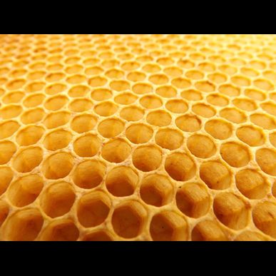 三郷市で蜂駆除業者をお探しでしたら、ミヤロックにお任せ。